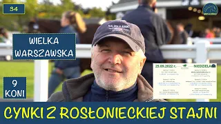 Cynki ze stajni I Dzień 34 I Wielka Warszawska I Sezon 2022 Adam Wyrzyk Stajnia Rosłońce