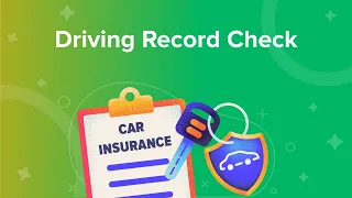 Driving Record Check