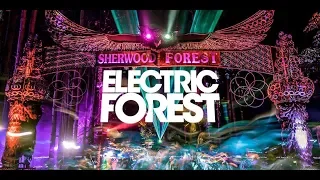 UnMEDIAted Electric Forest 2018 Aftermovie