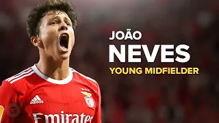 João Neves: Phenomenal Portuguese Midfield!