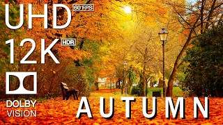 AUTUMN - 12K Scenic Relaxation Film With Inspiring Cinematic Music - 4K (60fps) Video Ultra HD