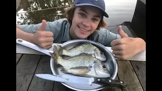 MONSTER Bream - Catch n Cook