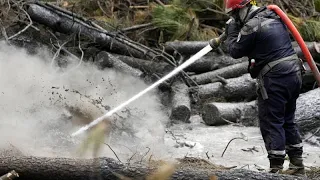 ¿Y si el pirómano fuera el bombero? En Francia han sido detenidos tres acusados de causar el fuego