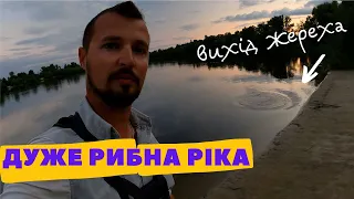 Ловля на течії - РИБНО, але НЕПРОСТО. Ловля щуки, окуня, судака на течії. Рибна Десна влітку.