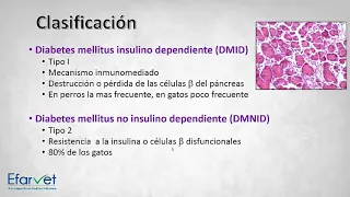 Diabetes mellitus