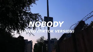 Nobody - Mitski (slowed) (TikTok version) nobody no body nobody no