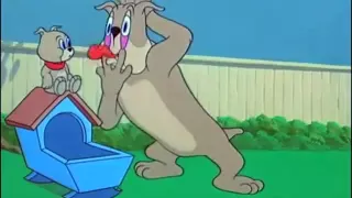 Can Can - Tom and Jerry