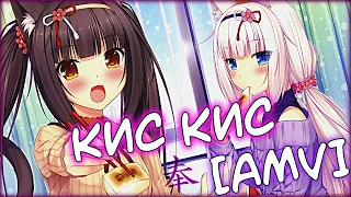 Аниме клип - ★Эй мисс, мисс кис кис★ [•AMV•] ᴴᴰ  「Anime Mix」