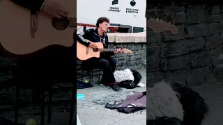 Duet in the Street: Dog and Owner Sing Together