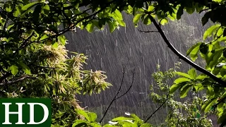 Lluvia HD | Sonido de Lluvia y Sonidos de la Naturaleza | Dormir