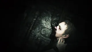 Resident Evil 7 - Deep Playthrough 2 - 4k HDR 60fps PC Max gfx - No HUD - See note on HDR / audio