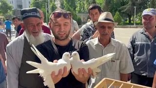 Часть 1. Международная выставка голубей в городе Душанбе Таджикистан🇹🇯 организатор Алишер Сохибов.