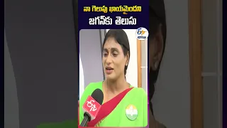 నా గెలుపు ఖాయమైందని జగన్‌కు తెలుసు - వైఎస్ షర్మిల