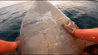 SURF DAY, SRI LANKA, Mirissa Beach | День Серфинга, Шри Ланка 2022