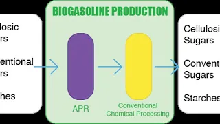 Biogasoline | Wikipedia audio article