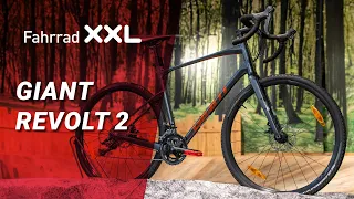 Giant Revolt 2 Aluminium – Bike-Vorstellung: das Einsteiger-Gravel-Bike mit verstellbarer Geometrie