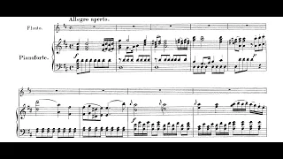 Mozart Flute Concerto in D major K.314 Movement I (piano accompaniment with score)