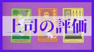 職場の上司からの評価と印象 | 職場の人間関係 貴方の印象は？【占い 仕事タロット】