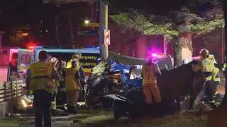 Two children killed in Sydney car crash