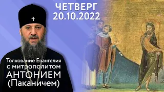 Толкование Евангелия с митр. Антонием (Паканичем). Четверг, 20 октября 2022 года