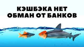 Кэшбэк - обман века. Как банки зарабатывают на ваших покупках!