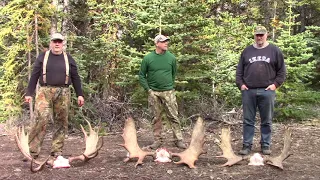 Alaskan Yukon Moose Hunt Part 2