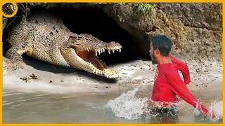 30 Epic Hunting Moments Of Huge And Merciless Crocodiles | Animal Fight