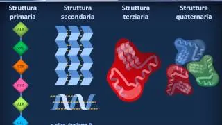 Citologia 08 - Proteine