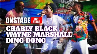 Ding Dong, Charly Black & Wayne Marshall Live - Jamrock Reggae Cruise 2019