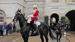 POLICE OFFICER tries to help The King's Guard calm his horse!