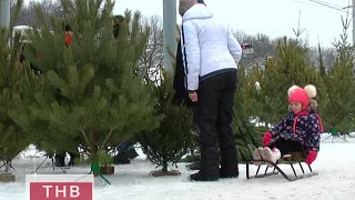 20.12.2017 Ялинкові базари