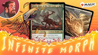 My Morphs Unmorph...Infinitely! | Against the Odds