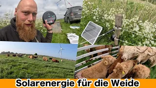 FarmVLOG#815 - Unsere Weide wird modernisiert / Rinder kommen auf die Sommerweide