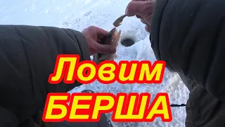 Ловим БЕРША на тюльку. Горьковское водохранилище, река Волга. Рыбалка два дня.