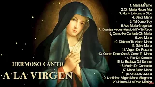 20 Mejores Canciones Alabando A Nuestra Madre || CANCIONES A LA VIRGEN MARIA