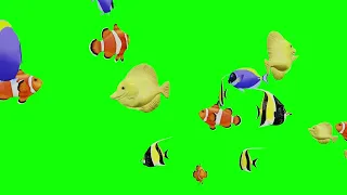 Swimming Fish Green Screen Loop