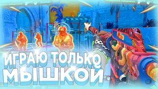 ИГРАЮ ТОЛЬКО МЫШКОЙ C ЧИТАМИ | [MIDNIGHT] | Иду в киберспорт!