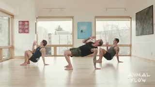 Animal Flow 30-Minute Beginner Level Class