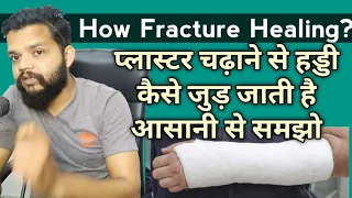 How Plaster Heals Fractured Bone / Fracture Healings Steps In Hindi
