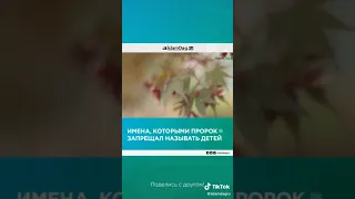 Имена которыми пророк(с.а.с) запрещал называть детей