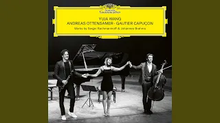 Brahms: Clarinet Trio in A Minor, Op. 114 - II. Adagio