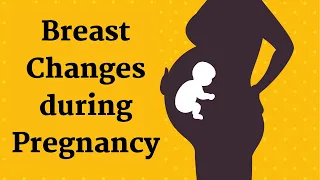 Breast changes during pregnancy: Everything you need to know