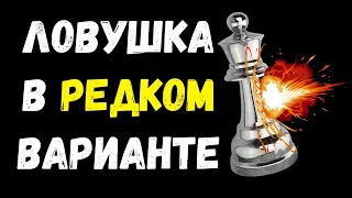 Ловушка в редком варианте Сицилианской защиты | Шахматный Урок