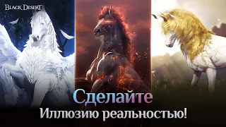 [Black Desert] Путешествие мечты вместе с Иллюзией!