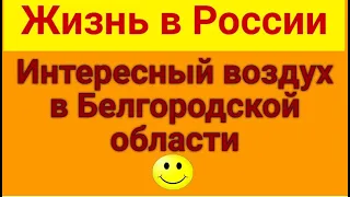 Из Германии -  в Россию. Жизнь в России. Дом для Марии. Обзор влогов. 19 08 2023 Влад