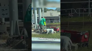 Little girl takes care of homeless man and his dog ❤️