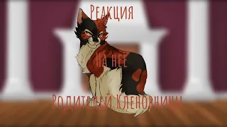 Реакция родителей Кленовницы на неё•коты воители• ❗️AU❗️(чит.опис.)