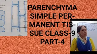 PARENCHYMA TISSUE / SIMPLE PERMANENT TISSUE/ CLASS-9 (PART-4)