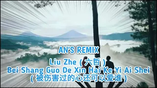 Liu Zhe - Bei Shang Guo De Xin Hai Ke Yi Ai Shei { AN'S REMIX }