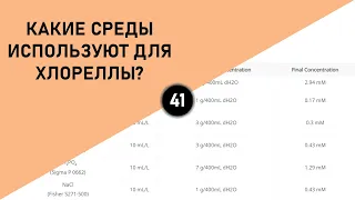 КАКИЕ СРЕДЫ ИСПОЛЬЗУЮТ ДЛЯ ХЛОРЕЛЛЫ?